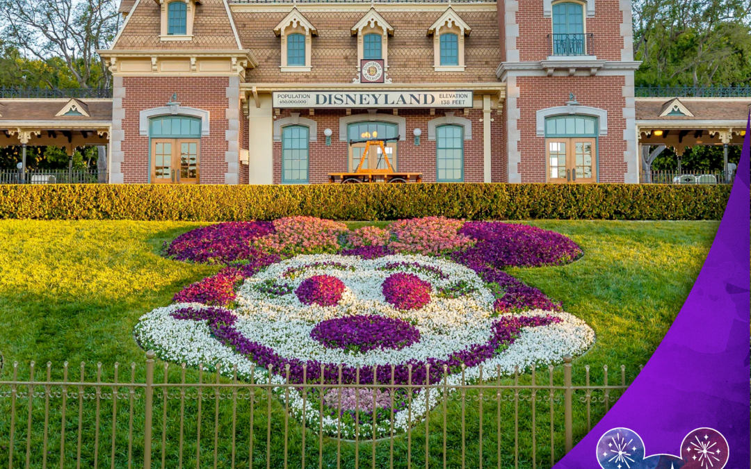 DLW 226: T&T Talk Disney with Producer James