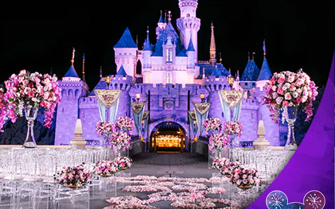 DLW 227: Wedding Trip Plans!