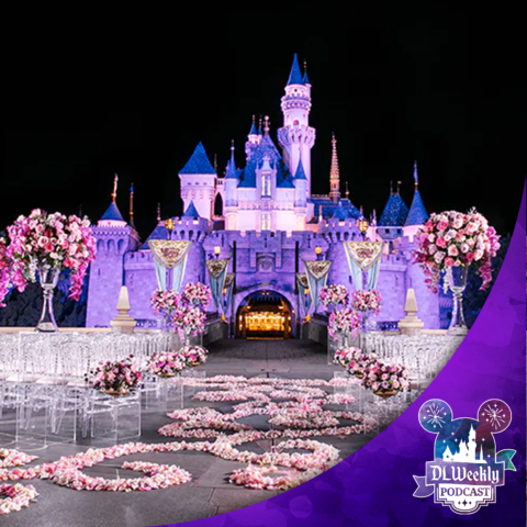 DLW 227: Wedding Trip Plans!