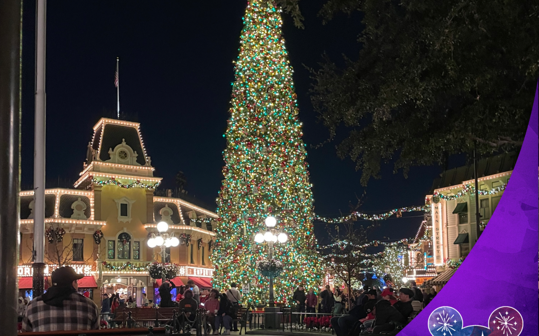 DLW 316: Getting in the Holiday Spirit